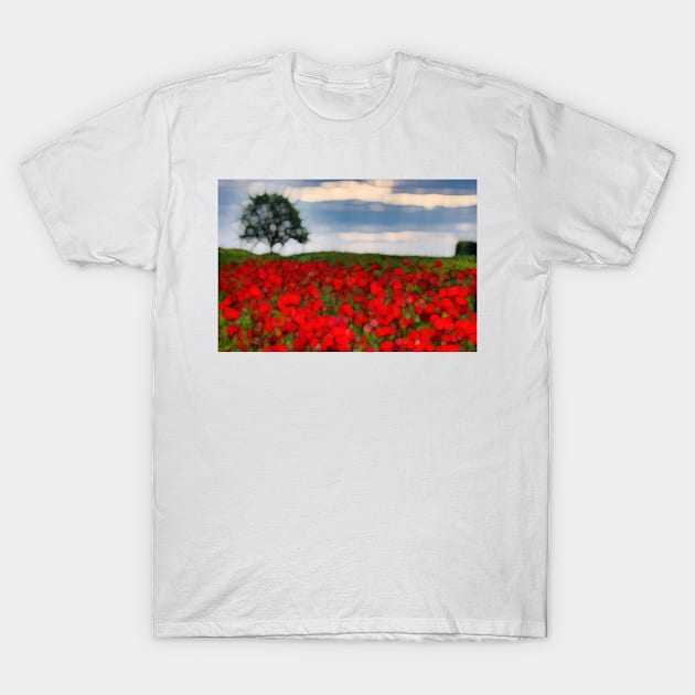 Poppy field and Single tree T-Shirt by redwitchart